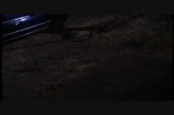 Captura de 'Stardust 6' nº 73