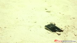 'Erotico' screenshot nº 45