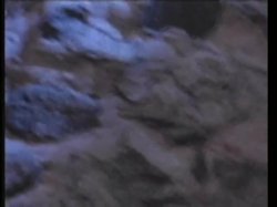 Captura de 'Sin City: The Movie' nº 36