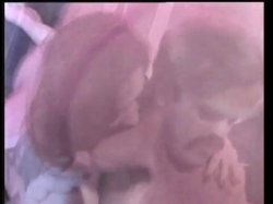 Captura de 'Sin City: The Movie' nº 96
