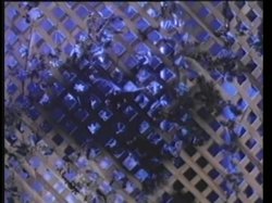 Captura de 'Sin City: The Movie' nº 102