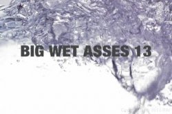 Captura de 'Big Wet Asses 13' nº 5