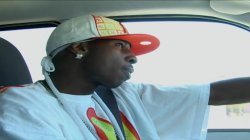'Black On White Going Wild Volume 1' screenshot nº 2