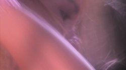 Captura de 'Brazilian Heat' nº 131