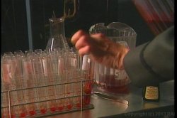 'Nymph Fever 3' screenshot nº 70