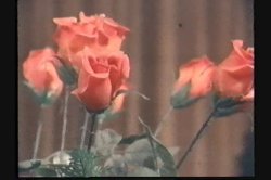 'Classic Anal' screenshot nº 61
