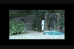 Captura de 'Anacondas & Lil Mamas #5' nº 93