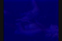 'Angelica' screenshot nº 136