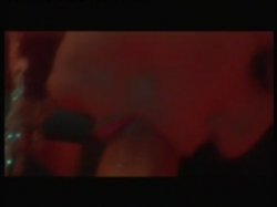 'Falomanias' screenshot nº 58