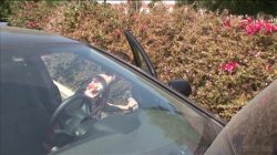'Bang A Milf' screenshot nº 5