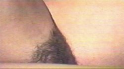'1990's Collection - Jessica & Hannah, The' screenshot nº 123