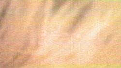 '1990's Collection - Jessica & Hannah, The' screenshot nº 50