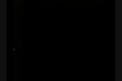 Captura de 'Peepshow Loops 29: 1970's' nº 136