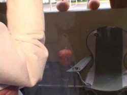 Captura de 'Horny Housewives In Heat #14' nº 96