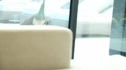 'My Busty Blonde Lesbian Girlfriend' screenshot nº 13
