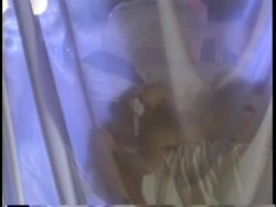 'Deep Inside Christy Canyon' screenshot nº 32