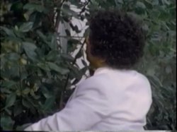 'Black Ace In The Hole' screenshot nº 7