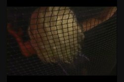 'Small Sluts Nice Butts 4' screenshot nº 2