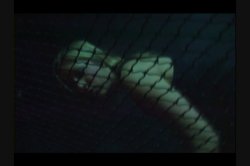 'Small Sluts Nice Butts 4' screenshot nº 51