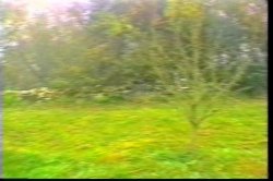Captura de 'Horny Henry's Euro Adventure' nº 4