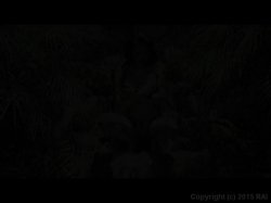 Captura de 'Big Titty Moms Love Black Dongs 2' nº 3