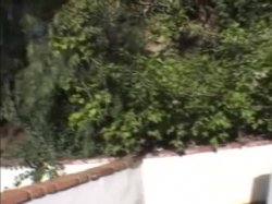 'Strap On Soul Sisters #13' screenshot nº 36