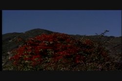 'Babelicious' screenshot nº 27