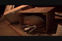'Animals' screenshot nº 4