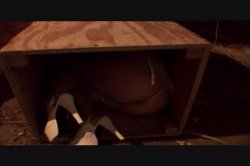 'Animals' screenshot nº 5