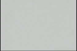 'Nasty Nymphos 9' screenshot nº 134