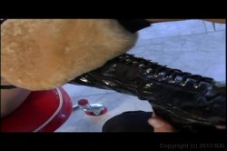 'Asstastic' screenshot nº 63