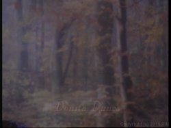 'Lusty Bust Desires' screenshot nº 2