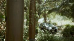 Captura de 'Mothers and Stepsons 5' nº 42