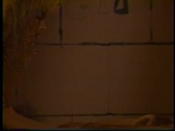 Captura de 'Hustler Adult Visual Feature Vol. 3 - The Mystery Of The Golden Lotus' nº 140