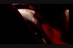 'Party Nymph' screenshot nº 91