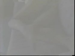 Captura de 'Bob's Videos #109 - L.A. Moments' nº 110