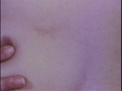 Captura de 'Sleazy 70s Stags Vol. 1 (Loops 1-12)' nº 51