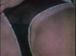 Captura de 'Sleazy 70s Stags Vol. 1 (Loops 1-12)' nº 64