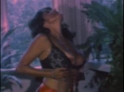 Captura de 'Sleazy 70s Stags Vol. 1 (Loops 1-12)' nº 76