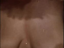 Captura de 'Sleazy 70s Stags Vol. 1 (Loops 1-12)' nº 9