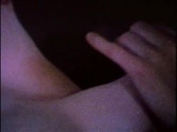 Captura de 'Sleazy 70s Stags Vol. 1 (Loops 1-12)' nº 103