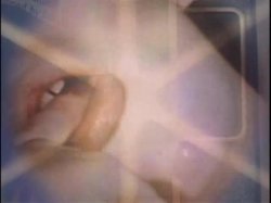 Captura de 'Sleazy 70s Stags Vol. 1 (Loops 1-12)' nº 122