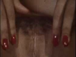 Captura de 'Sleazy 70s Stags Vol. 1 (Loops 1-12)' nº 19