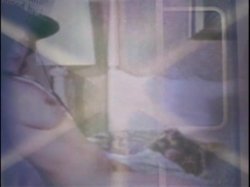 Captura de 'Sleazy 70s Stags Vol. 1 (Loops 1-12)' nº 39