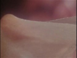 Captura de 'Sleazy 70s Stags Vol. 2 (Loops 13-24)' nº 43