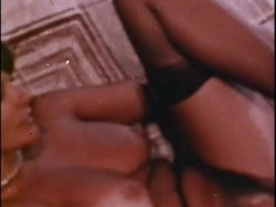 Captura de 'Sleazy 70s Stags Vol. 2 (Loops 13-24)' nº 52