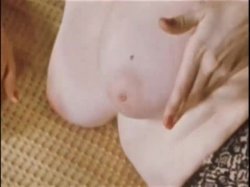 Captura de 'Sleazy 70s Stags Vol. 2 (Loops 13-24)' nº 110