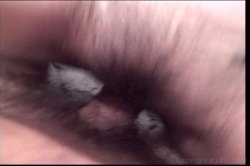 Captura de 'Dirty Debutantes 201' nº 84
