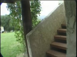 Captura de 'Video Adventures of Peeping Tom 19' nº 101