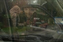 'Boz in the Bush 2' screenshot nº 61